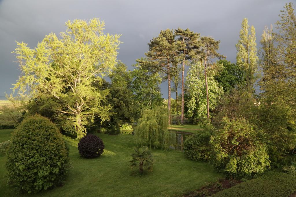 Chateau De La Flechere Bed & Breakfast Blace Exterior photo