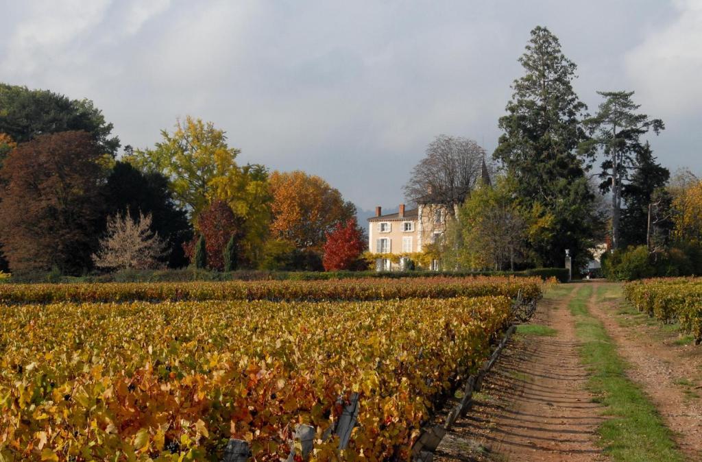 Chateau De La Flechere Bed & Breakfast Blace Exterior photo